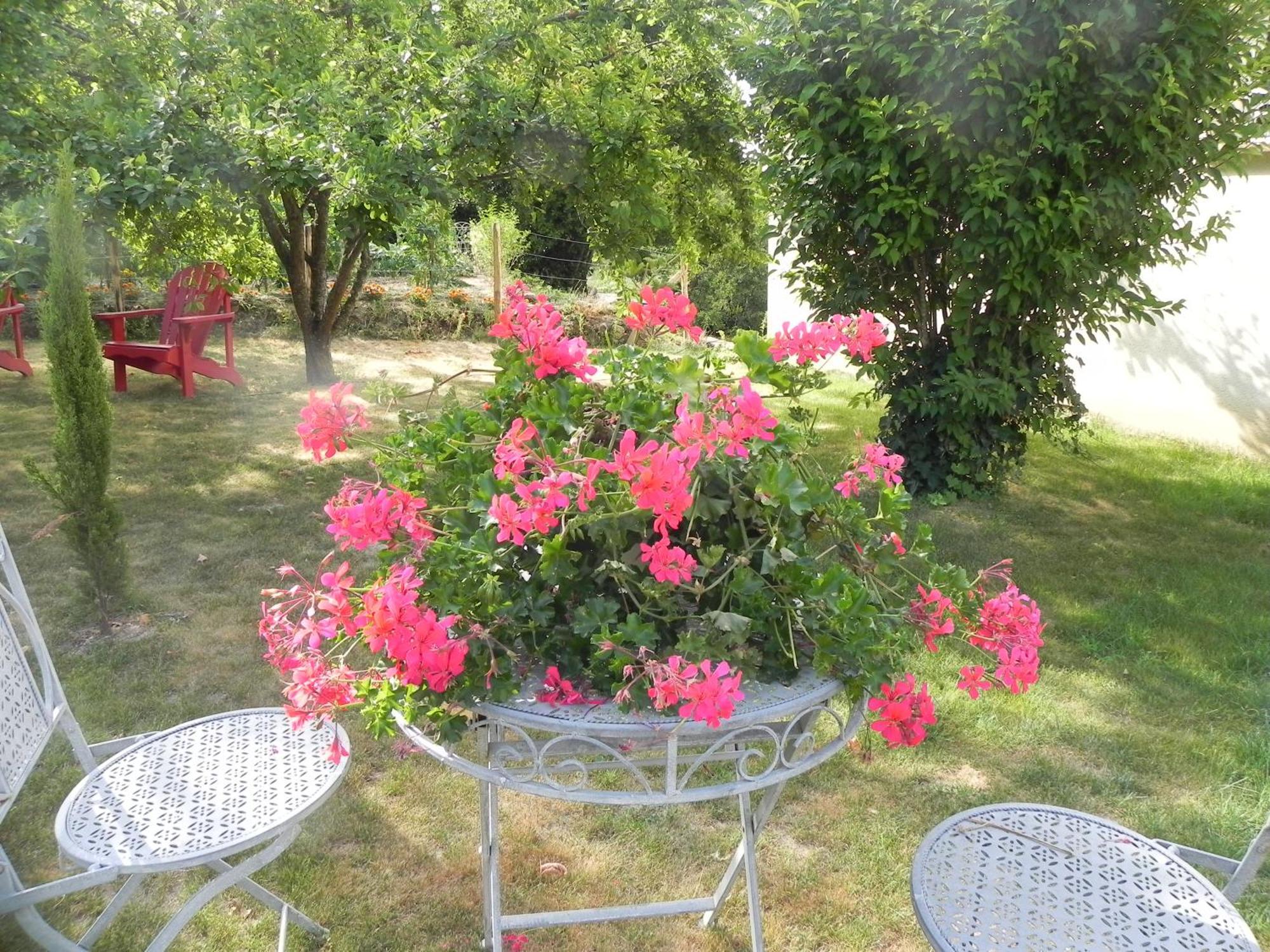 Les Patis Bed & Breakfast Vouvray Exterior foto